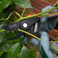 Wilkinson Sword Pruner & Deadhead Snip Twin Pack -Decor In Garden Store 1111129wf