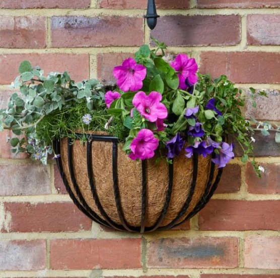 Forge Wall Basket 16" - Smart Garden 4 Forge Wall Basket 16" - Smart Garden - Image 2
