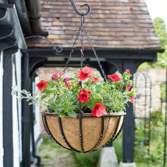 Forge Hanging Basket 18" - Smart Garden 4 Forge Hanging Basket 18" - Smart Garden - Image 2