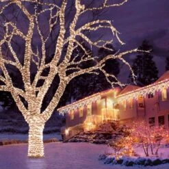 300 Warm White Connectable L.E.D. Lights