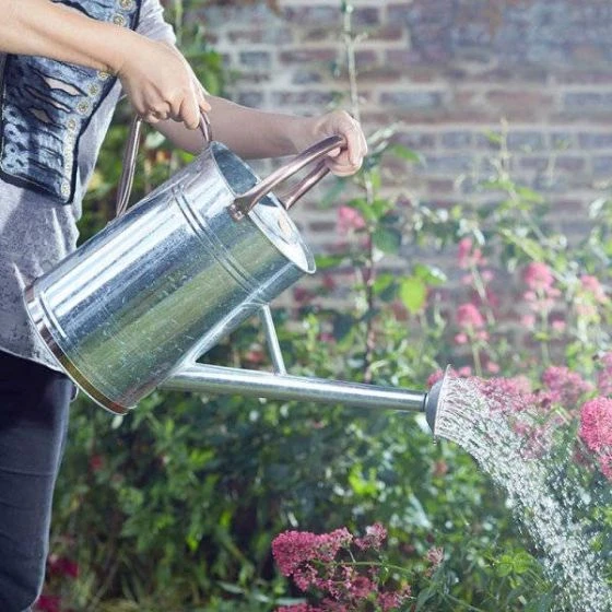 Watering Can - Galvanised 9L - Smart Garden 3 Watering Can - Galvanised 9L - Smart Garden