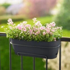 Elho Vibia Campana Trough Allin1 50cm Anthracite -Decor In Garden Store anthracite main square