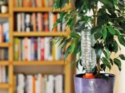 Hozelock Aquasolo 3 Cones + 1 FOC (Orange-pots Up To 10") -Decor In Garden Store aqua