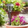 Avant Stake Light 5L, 5 Pack - Smart Garden 2 Avant Stake Light 5L, 5 Pack - Smart Garden -Decor In Garden Store avante stake light 2 1
