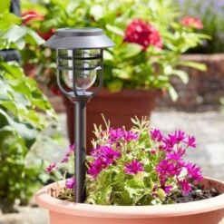 Avant Stake Light 5L, 5 Pack - Smart Garden