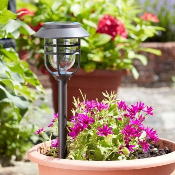 Avant Stake Light 5L, 5 Pack - Smart Garden 3 Avant Stake Light 5L, 5 Pack - Smart Garden