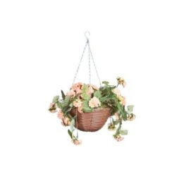 Smart Garden Begonia Blooms 30cm 5 Smart Garden Begonia Blooms 30cm -Decor In Garden Store begonia