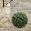 Boxwood Ball 30cm - Smart Garden
