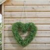 Boxwood Heart 41 X 38 Cm - Smart Garden -Decor In Garden Store boxwood heart