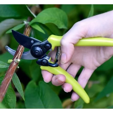 Decor In Garden Store -Decor In Garden Store burgon and ball micro secateurs green