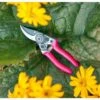 Burgon & Ball Fluores Pocket Pruner - Pink