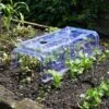 Clear Cloche - Smart Garden -Decor In Garden Store clear coche 2
