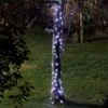 Firefly String Lights - 100 Cool White LEDs - Smart Garden -Decor In Garden Store cool white firefly lights