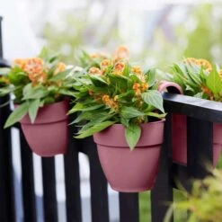 Elho Vibia Campana Flower Twin 21cm - Dusty Pink -Decor In Garden Store elho 2