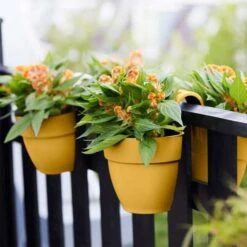 Elho Vibia Campana Flower Twin 21cm - Honey Yellow -Decor In Garden Store elho 4