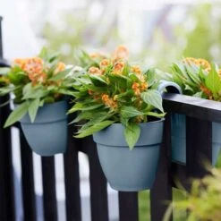 Elho Vibia Campana Flower Twin 21cm - Vintage Blue -Decor In Garden Store elho blue 2