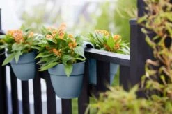 Elho Vibia Campana Flower Twin 21cm - Vintage Blue