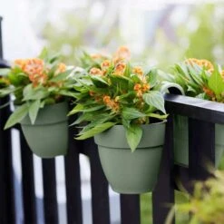 Elho Vibia Campana Flower Twin 21cm - Pistachio -Decor In Garden Store elho green 2