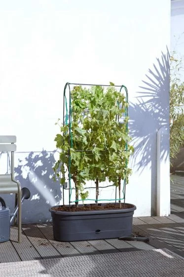 Elho Green Basics Veggie Wall 80cm - Living Black 4 Elho Green Basics Veggie Wall 80cm - Living Black - Image 2