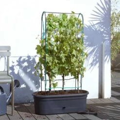 Elho Green Basics Veggie Wall 80cm - Living Black