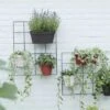 Elho Loft Urban Green Wall Rack - Living Black