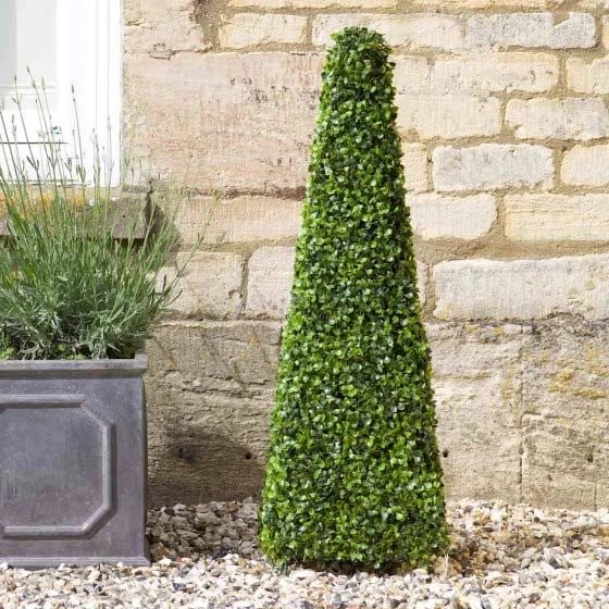 Topiary Boxwood Obelisk 60 Cm - Smart Garden 3 Topiary Boxwood Obelisk 60 Cm - Smart Garden