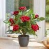 Smart Garden Regent's Roses Ruby Red 40cm -Decor In Garden Store faux rose