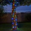 Firefly String Lights - 100 Multi Coloured LEDs - Smart Garden 1 Firefly String Lights - 100 Multi Coloured LEDs - Smart Garden -Decor In Garden Store firefly strong lights multi