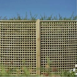 Forest Premium Framed Trellis 180 X 180cm