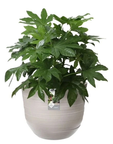 Elho Fuente Rings Round - Pebble Grey 4 Elho Fuente Rings Round - Pebble Grey - Image 2