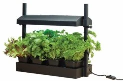 Worth Gardening Micro Grow Light Garden Black -Decor In Garden Store g187b lifestyle 1