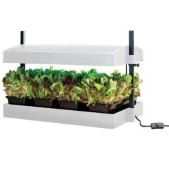 Worth Gardening Grow Light Garden White -Decor In Garden Store gi39w 2