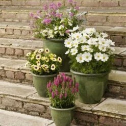 Apta Malay Glazed Planter 29cm 7 Apta Malay Glazed Planter 29cm -Decor In Garden Store glazed malay square 1