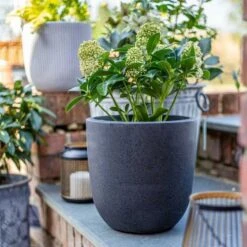 Apta Granito Egg Pot 25Cm -Decor In Garden Store granito 1