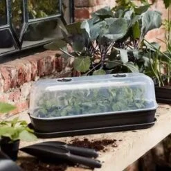 Elho Green Basics Grow House L - Transparent -Decor In Garden Store grow house l 2