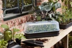 Elho Green Basics Grow House L - Transparent