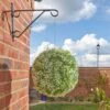 Smart Garden Topiary Gypsophila Ball 30cm 2 Smart Garden Topiary Gypsophila Ball 30cm -Decor In Garden Store gyps 1