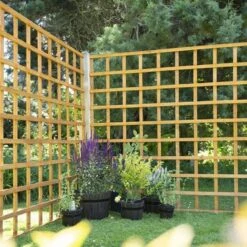 Forest Heavy Duty Trellis 183 X 183cm