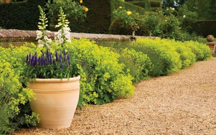 Apta Himalaya Traditional Planter 51cm 3 Apta Himalaya Traditional Planter 51cm