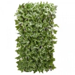Ivy Leaf Trellis 180 X 90 Cm - Smart Garden -Decor In Garden Store ivy leaf 1