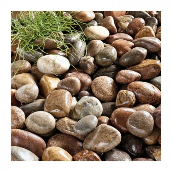 Large Beach Cobbles Large - Kelkay 5 Large Beach Cobbles Large - Kelkay - Image 3