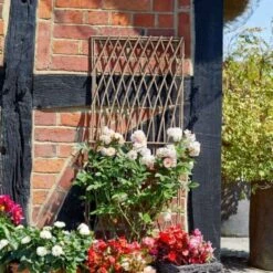 Minster Willow Trellis - Square 1.2 X 0.45m - Smart Garden