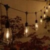 NOMA Large Edison Festoon With Drop Connectable Lights 20 LED -Decor In Garden Store noma edison bulbs