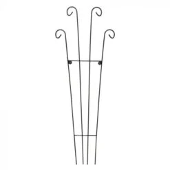 Tom Chambers Rosa Trellis Ob17