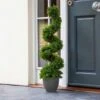 Topiary Twirl 90 Cm - Smart Garden -Decor In Garden Store swirl 2