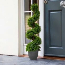 Topiary Twirl 90 Cm - Smart Garden