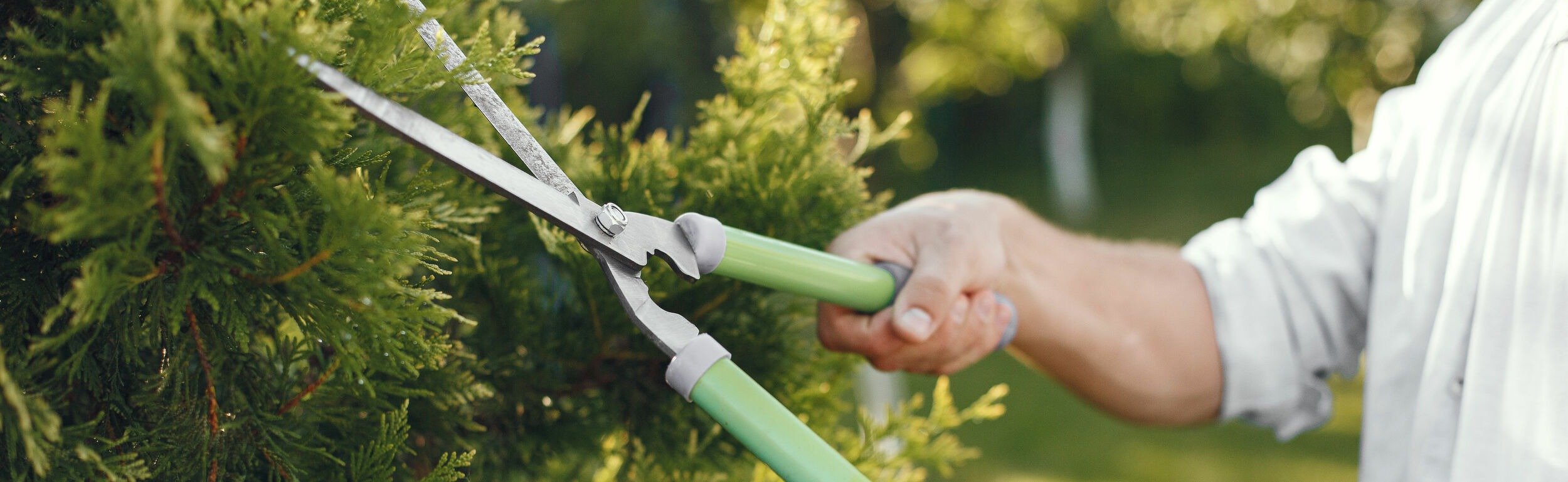 Decor In Garden Store -Decor In Garden Store tuingereedschap heggenschaar