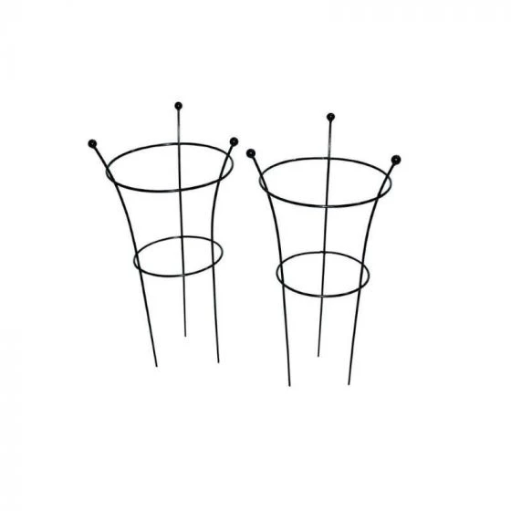 Tom Chambers Herbaceous Support Lrg 2 Pk 2 Tom Chambers Herbaceous Support Lrg 2 Pk