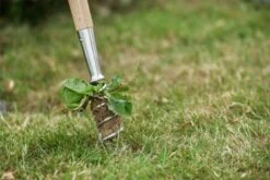 Kent And Stowe Long Hand Corkscrew Weeder -Decor In Garden Store untitled 46 3