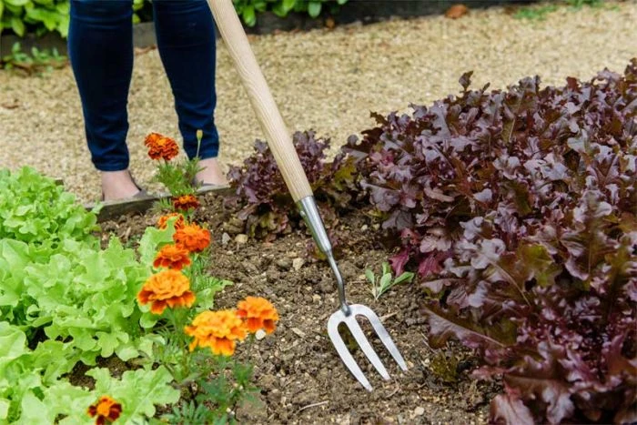 Kent And Stowe Stainless Steel Long Handled Fork 3 Kent And Stowe Stainless Steel Long Handled Fork